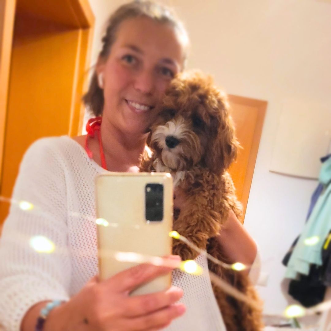 EVA hlídání (cavapoo)