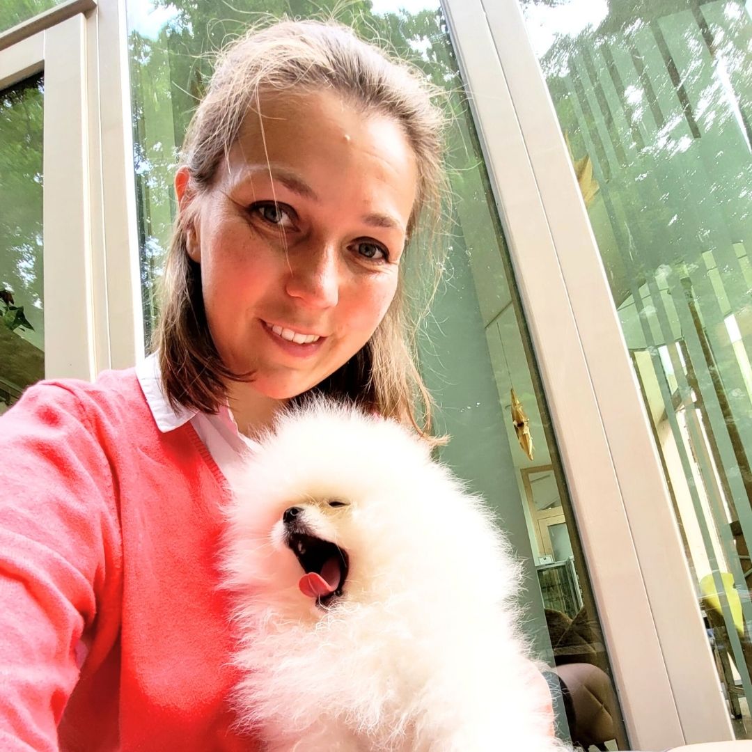MAO hlídání (pomeranian)